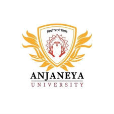 an1logo
